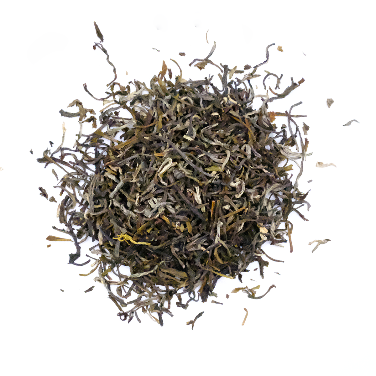 WHITE BUD JASMINE TEA | GREEN