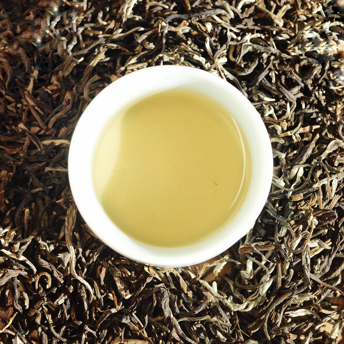 WHITE BUD JASMINE TEA | GREEN