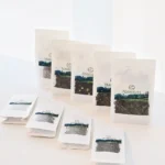 Golden Bud Black Tea | Black - Image 5
